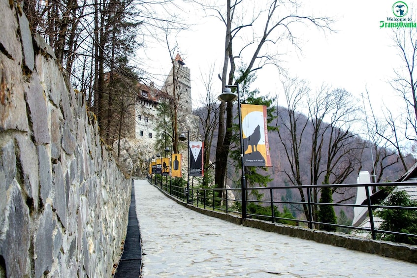 Picture 7 for Activity Visit Bear Sanctuary and Bran Castle from Brasov