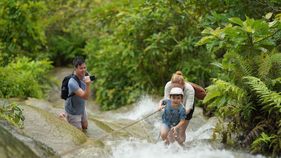 Picture 1 for Activity Chiang Mai: Bua Thong Sticky Waterfall and Huge Cave Tour