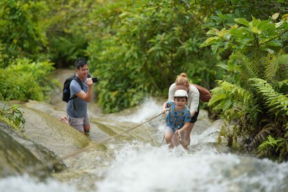 Chiang Mai: Bua Thong Sticky Waterfall and Huge Cave Tour
