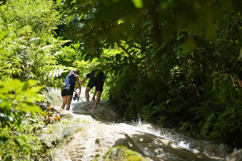 Picture 3 for Activity Chiang Mai: Bua Thong Sticky Waterfall and Huge Cave Tour