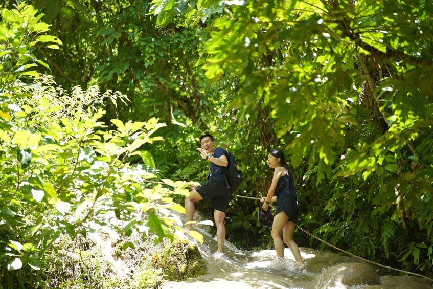 Picture 5 for Activity Chiang Mai: Bua Thong Sticky Waterfall and Huge Cave Tour