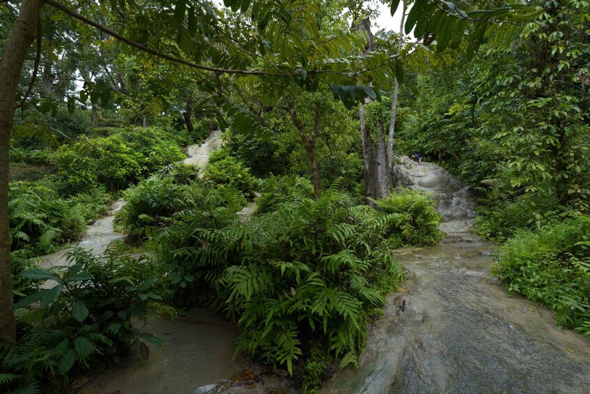 Picture 7 for Activity Chiang Mai: Bua Thong Sticky Waterfall and Huge Cave Tour