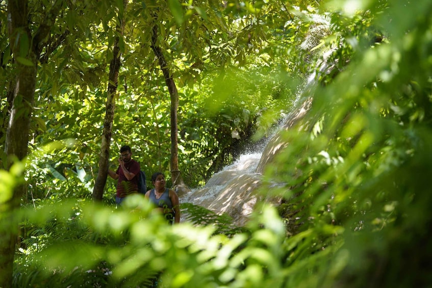 Picture 8 for Activity Chiang Mai: Bua Thong Sticky Waterfall and Huge Cave Tour