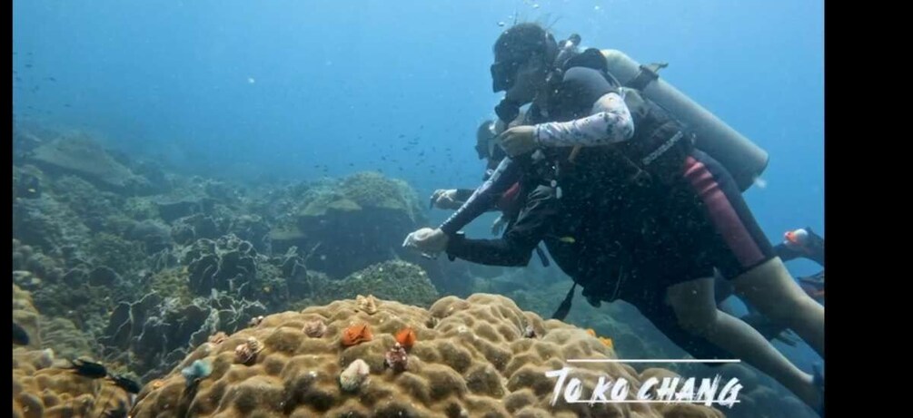 Picture 2 for Activity Koh Chang : 3 - tägiger PADI Open Water Scuba Diver Kurs