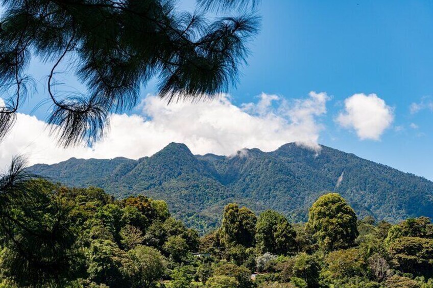 Shared 4 Hour Flavors of Boquete - E-Bike Tour