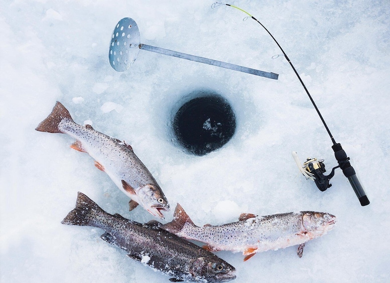 Picture 2 for Activity ICE FISHING experience