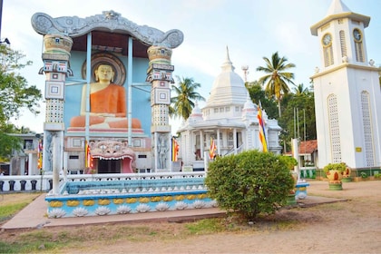 Von Negombo aus: Stadttour & Fischerdorf-Tour mit dem Tuk-Tuk
