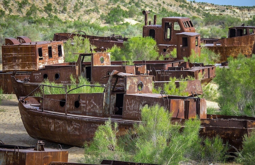 Picture 3 for Activity Lost Paradise - Aral Sea Tour 2 days/1 night