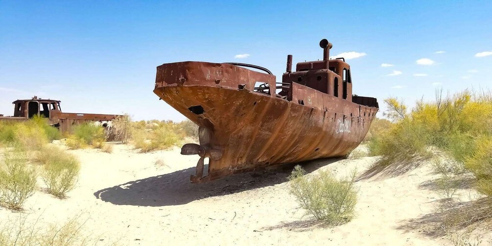 Picture 4 for Activity Lost Paradise - Aral Sea Tour 2 days/1 night