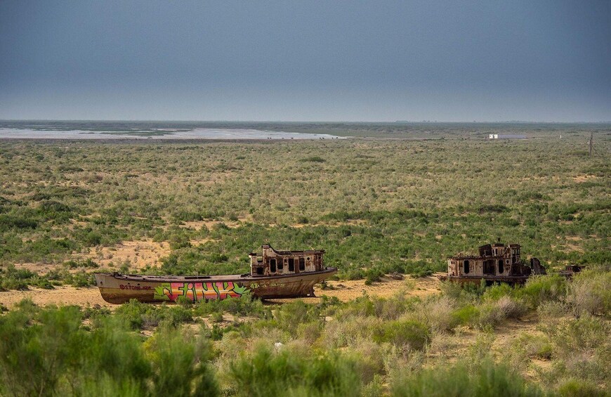 Picture 6 for Activity Lost Paradise - Aral Sea Tour 2 days/1 night