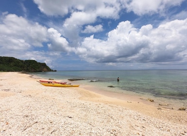 Motobu: Kayak and Snorkel Private Booking