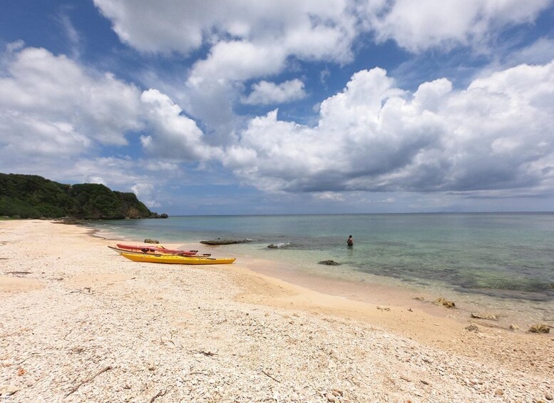 Motobu: Kayak and Snorkel Private Booking