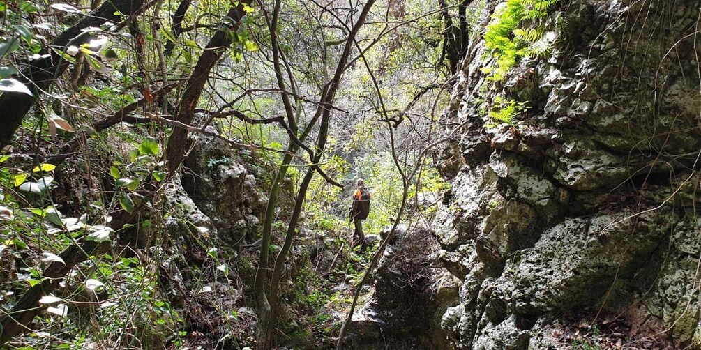 Picture 4 for Activity Apulia Canyon Hiking