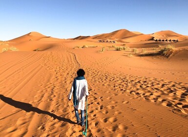 Viaggio privato di 3 giorni nel Grande Deserto del Sahara a Merzouga da Aga...