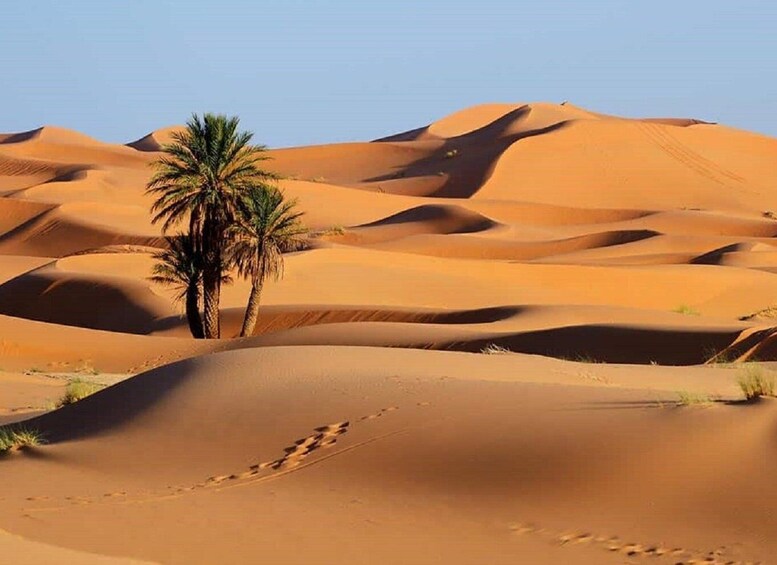 Picture 12 for Activity Private 3 Days Big Sahara Desert to Merzouga From Agadir