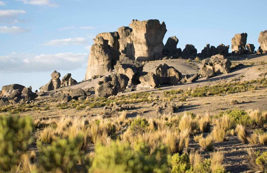 Picture 2 for Activity From Arequipa: Pillones Waterfall and Stone Forest Day Trip