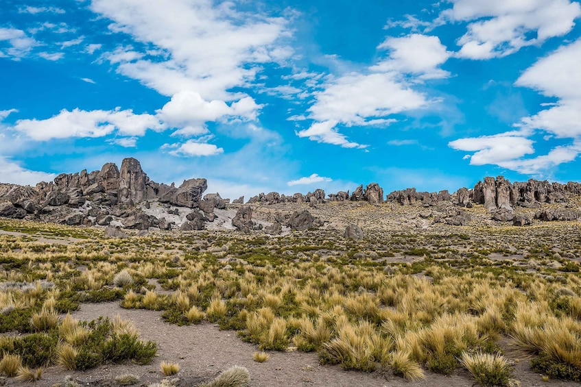 Picture 4 for Activity From Arequipa: Pillones Waterfall and Stone Forest Day Trip