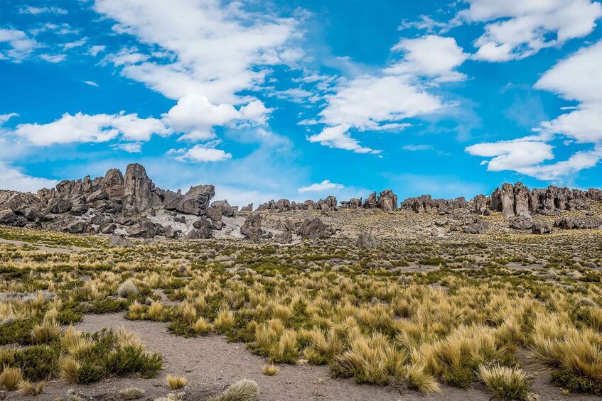 Picture 4 for Activity From Arequipa: Pillones Waterfall and Stone Forest Day Trip