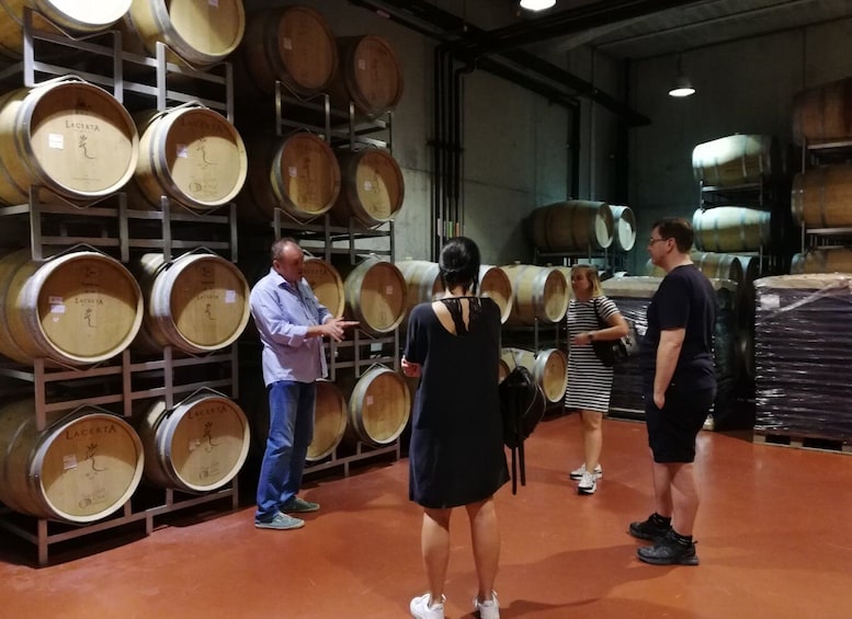 Picture 5 for Activity Winery visit & Wine Tasting: half-day tour