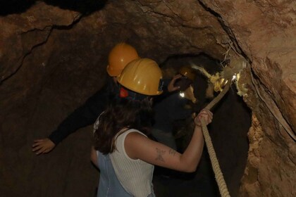 From Guanajuato: Mines and Abandoned Farms Mineral de Pozos