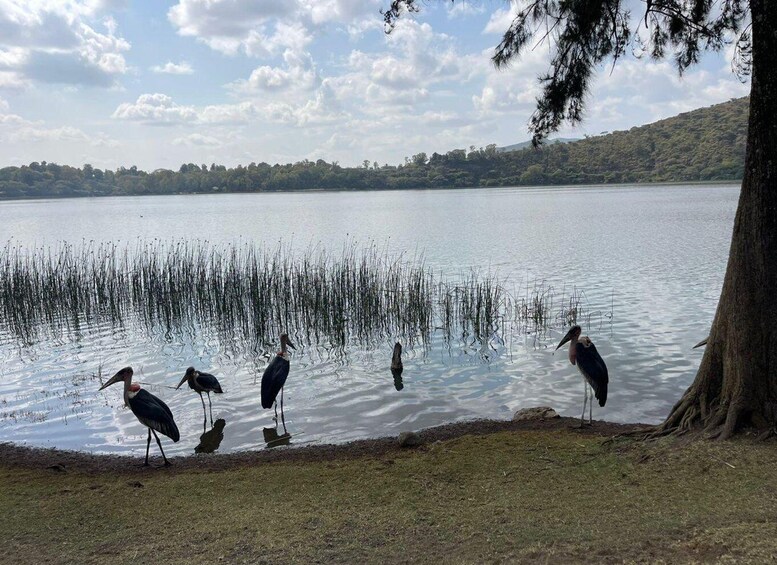 Picture 3 for Activity Day Trip to Debre Zeit/ Bishoftu