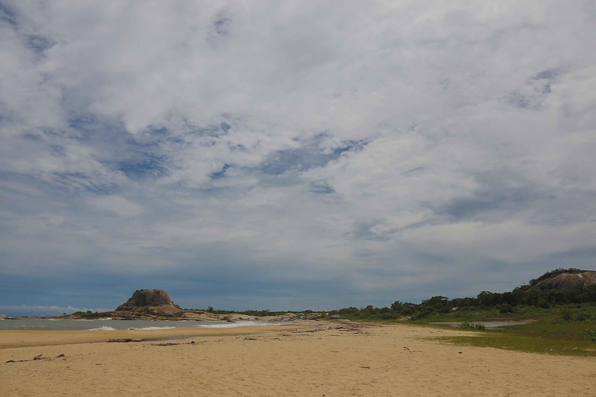 Picture 15 for Activity From Tangalle/Hiriketiya: Shuttle to Ella with Yala Safari