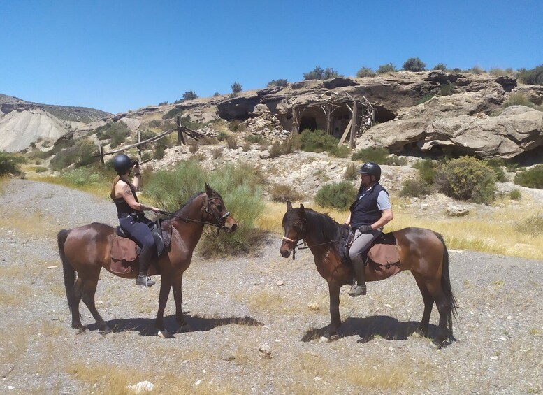 Picture 2 for Activity Almeria: Tabernas Desert Horse Riding for experienced riders