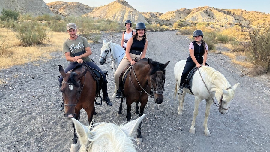 Almeria: Tabernas Desert Horse Riding for experienced riders