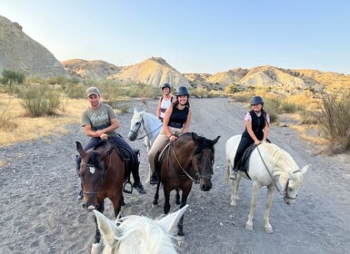 Almería: paseos a caballo por el desierto de Tabernas para jinetes experime...