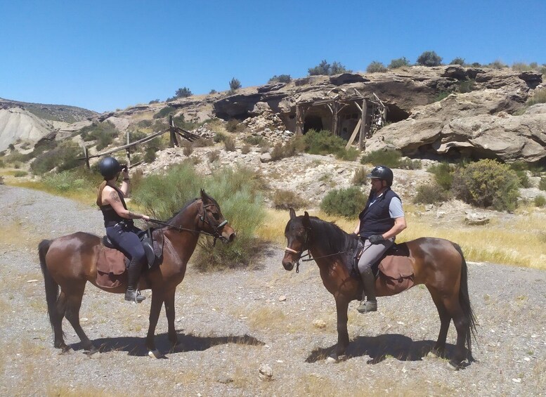 Picture 2 for Activity Almeria: Tabernas Desert Horse Riding for experienced riders