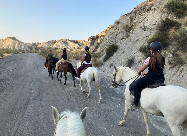 Picture 5 for Activity Almeria: Tabernas Desert Horse Riding for experienced riders