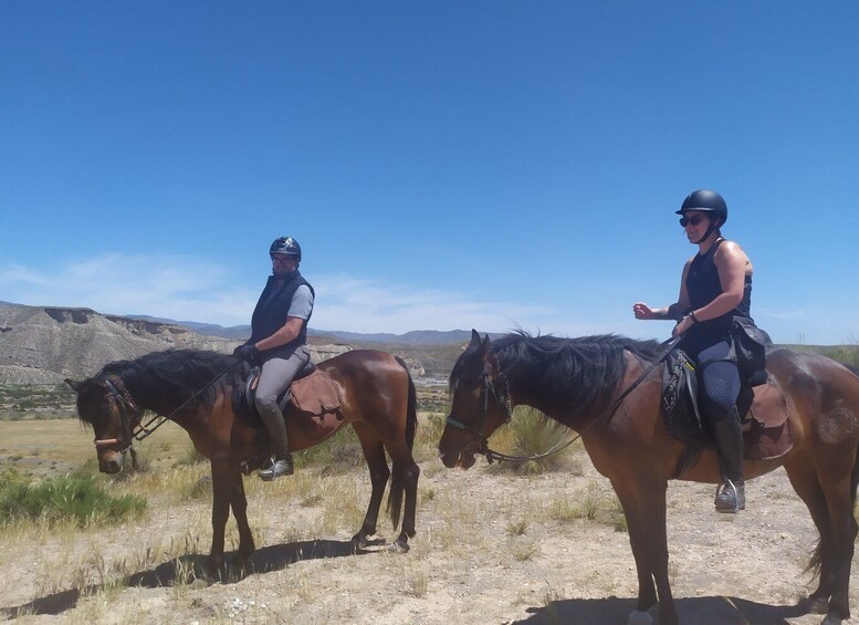 Picture 3 for Activity Almeria: Tabernas Desert Horse Riding for experienced riders