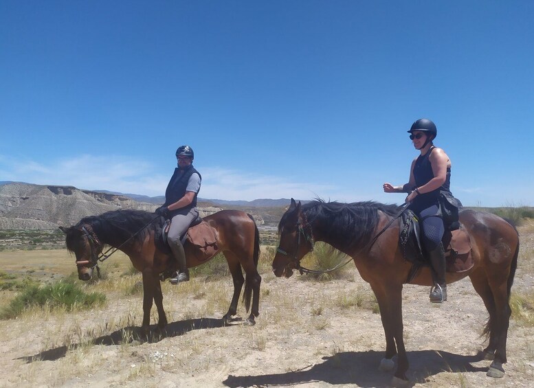 Picture 3 for Activity Almeria: Tabernas Desert Horse Riding for experienced riders