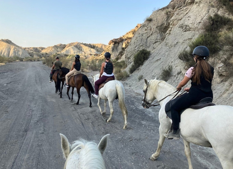 Picture 5 for Activity Almeria: Tabernas Desert Horse Riding for experienced riders