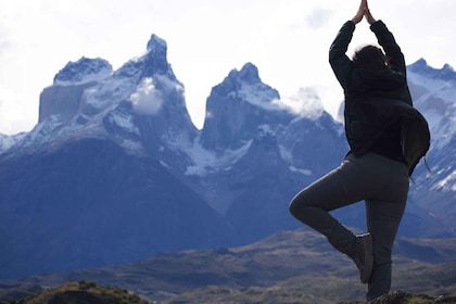 Día completo en Torres del Paine + Cueva del Milodón