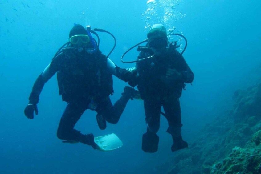 Picture 1 for Activity Beli - Discovery dive