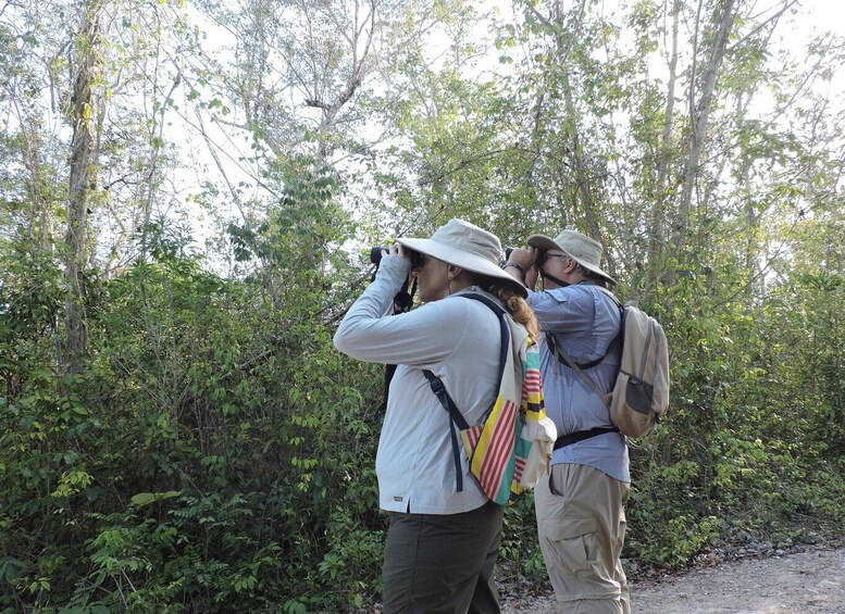 Picture 2 for Activity Puerto Morelos: Ruta de los Cenotes Birdwatching Tour