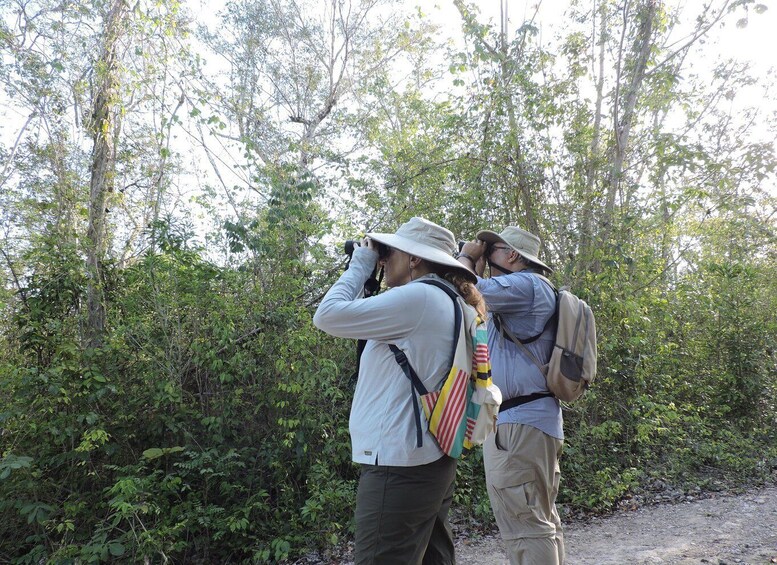 Picture 2 for Activity Puerto Morelos: Ruta de los Cenotes Birdwatching Tour