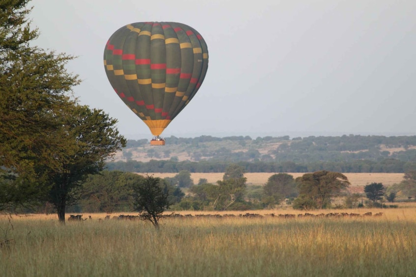 Picture 3 for Activity 3-Day Amboseli National Park Balloon Safari Package