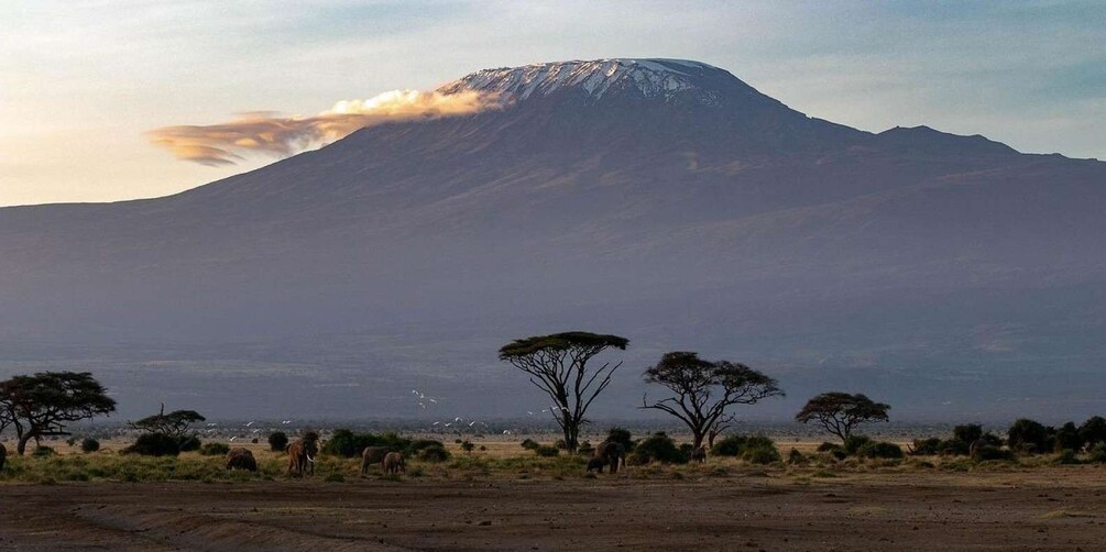 Picture 1 for Activity 3-Day Amboseli National Park Balloon Safari Package
