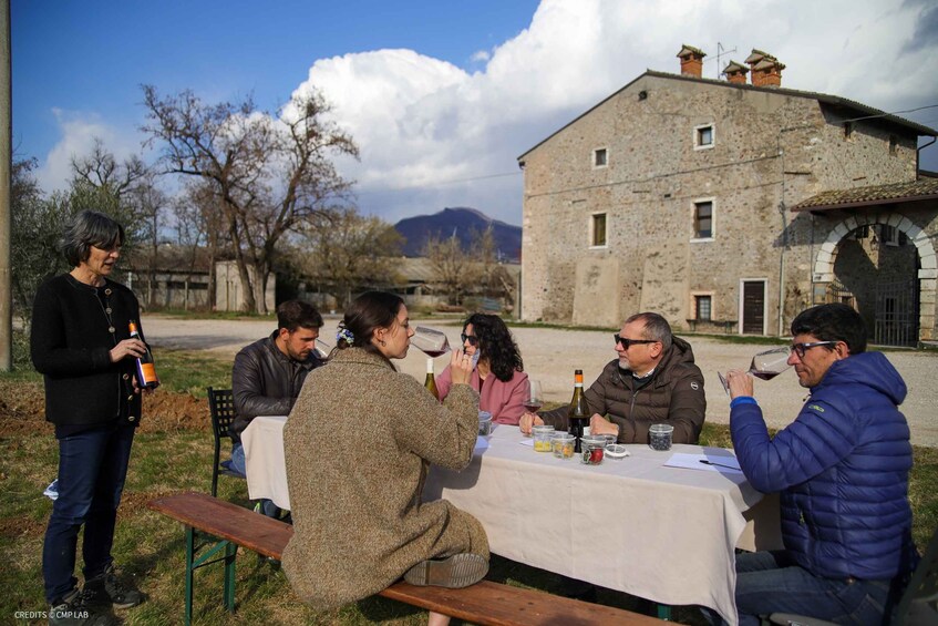 Picture 4 for Activity Cavaion: organic 4 wines tasting and aroma experience