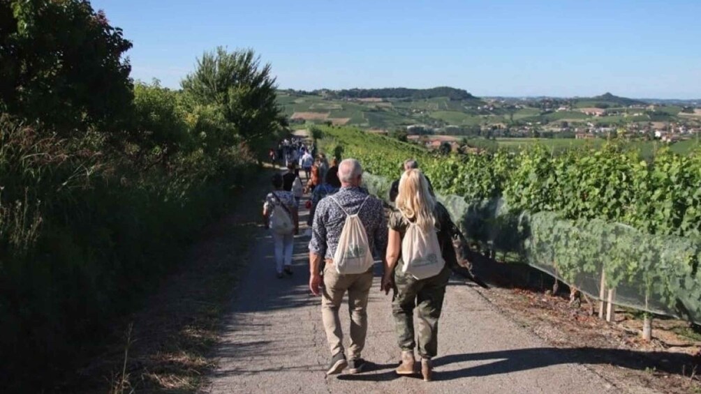 Castagnole delle Lanze: Saffron Walking Tour w/ Wine & Food