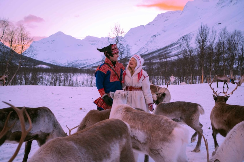 Picture 5 for Activity Tromsø: Reindeer Experience at a Sami Camp