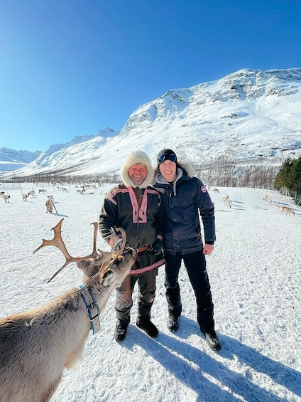 Picture 4 for Activity Tromsø: Reindeer Experience at a Sami Camp