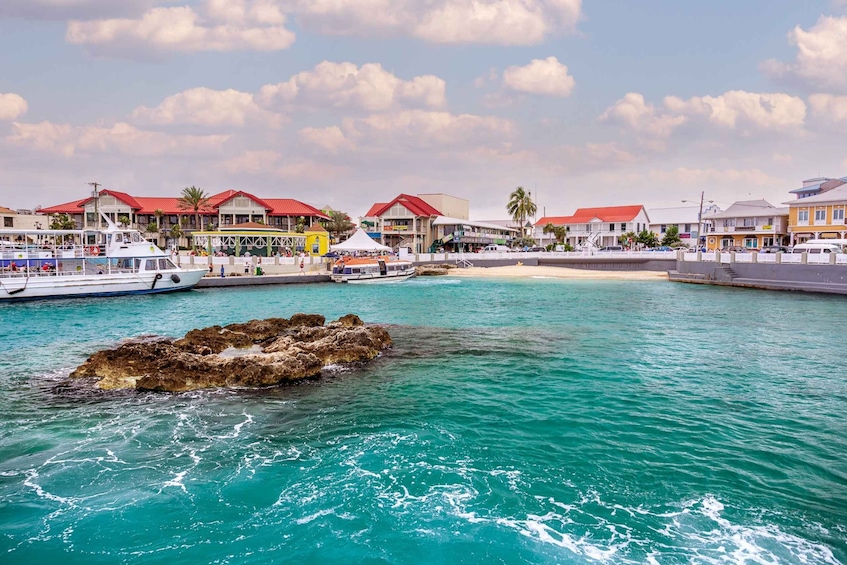 Grand Cayman: West Island Guided Tour with Entry Tickets
