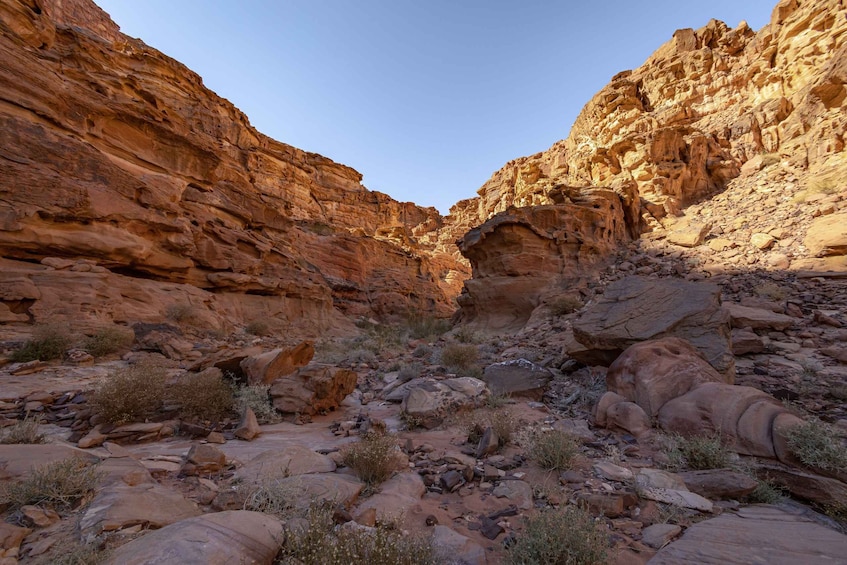 Picture 1 for Activity From Wadi Rum: 2-Day Hiking Adventure and Jeep Tour