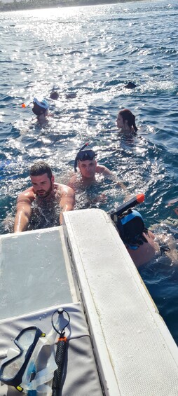 Picture 4 for Activity Private Dolphin Snorkeling Tour. Equipment available Free.