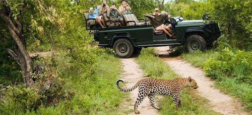 Kruger National Park - 4 Day Tour from Johannesburg