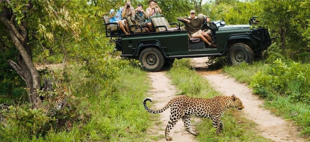 Kruger National Park - 4 Day Tour from Johannesburg