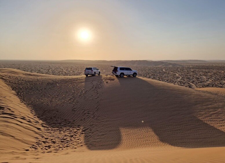 Picture 6 for Activity Salalah: Desert Safari & Sand Bashing in Empty Quarter